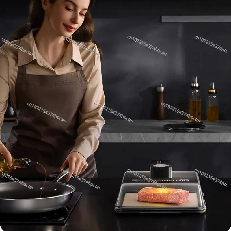 Type-C Charging Defrosting Box Ultra-Fast Fresh Recovery Machine Beef Frozen Food Meat Seafood Defrosting Plate