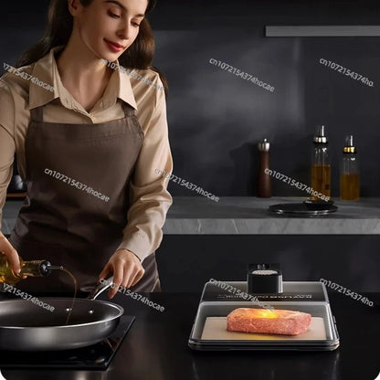 Type-C Charging Defrosting Box Ultra-Fast Fresh Recovery Machine Beef Frozen Food Meat Seafood Defrosting Plate